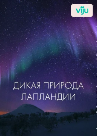 Дикая природа Лапландии