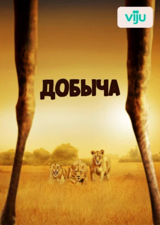 Добыча