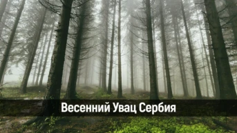 Весенний Увац Сербия