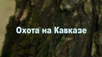 Охота на Кавказе