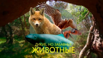 Дикие, но забавные животные