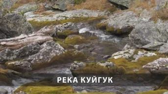Река Куйгук