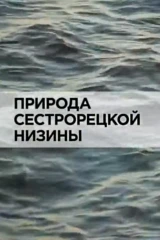 Природа Cестрорецкой низины