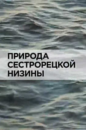 Природа Cестрорецкой низины
