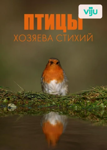 Стихия воздуха