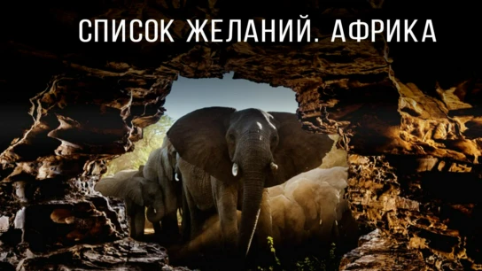 Список желаний. Африка