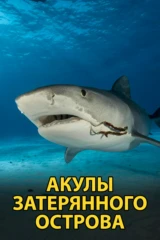Акулы затерянного острова