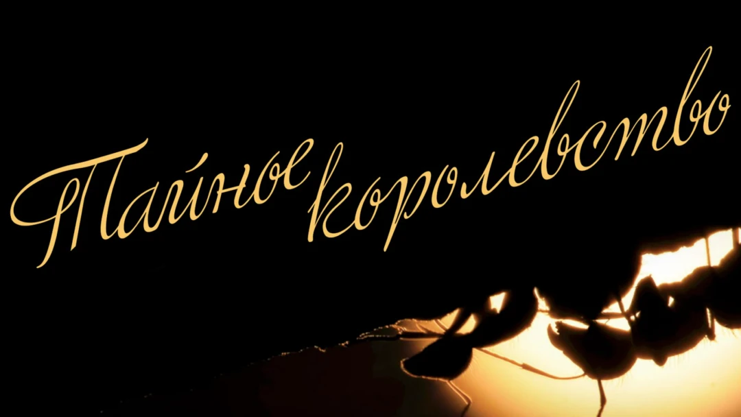 Сериал Тайное королевство