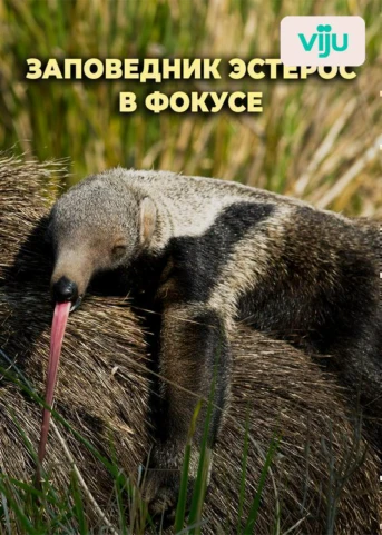 1 серия
