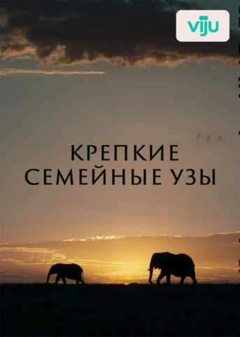 1 серия
