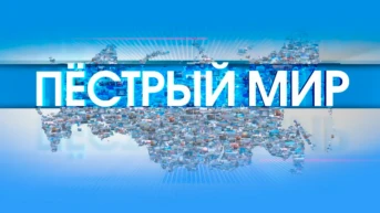 Пёстрый мир