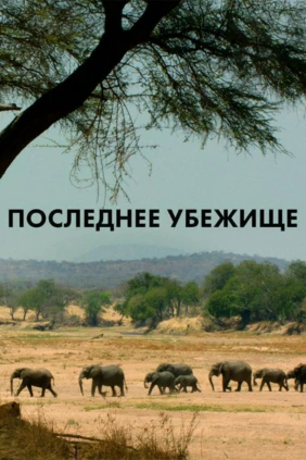 Последнее убежище