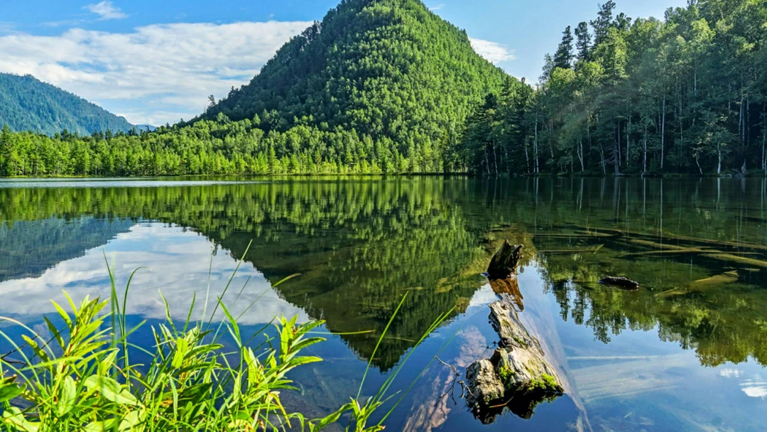 Передача Озеро Тёплое