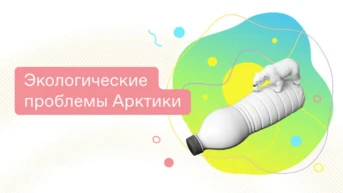 Экологические проблемы Арктики