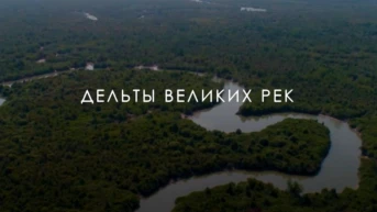 Дельты великих рек
