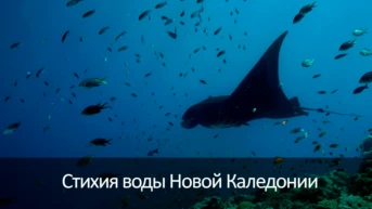 Стихия воды Новой Каледонии