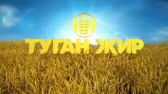 Туган җир