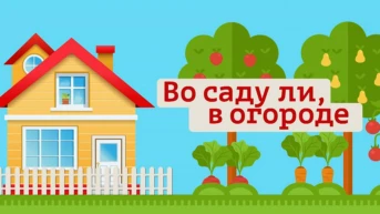 Во саду ли, в огороде