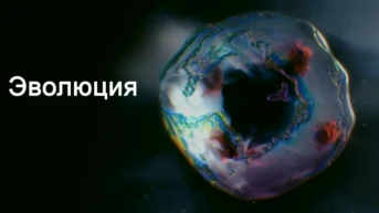 Эволюция