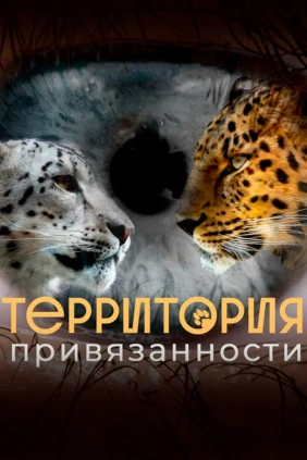 Территория привязанности