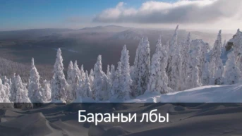 Бараньи лбы
