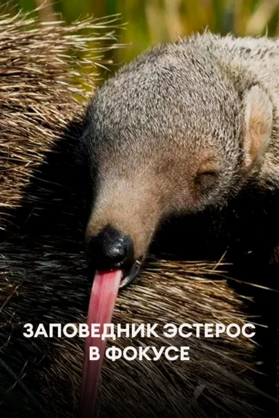 Заповедник Эстерос в фокусе