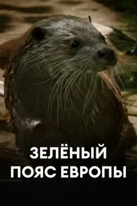 Зелёный пояс Европы