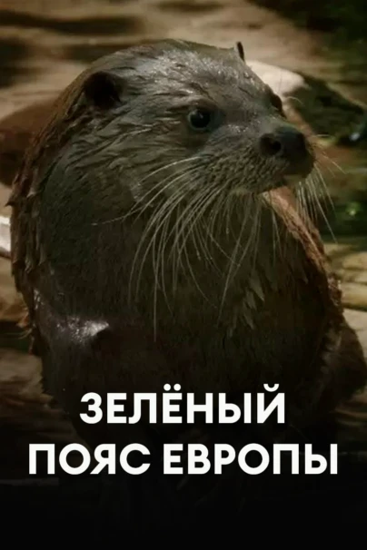Зелёный пояс Европы