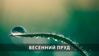 Весенний пруд