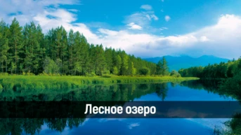 Лесное озеро