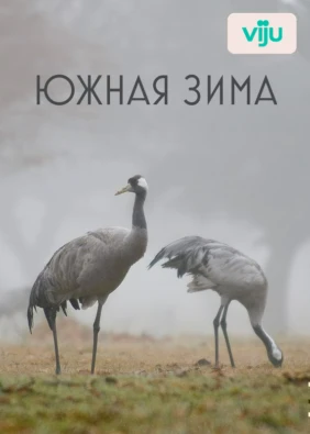 Южная зима