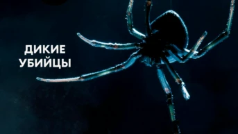 Дикие убийцы