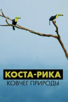 Коста-Рика: ковчег природы