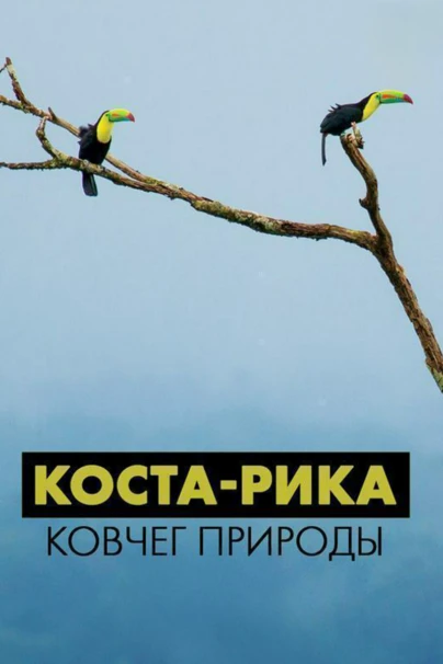 Коста-Рика: ковчег природы