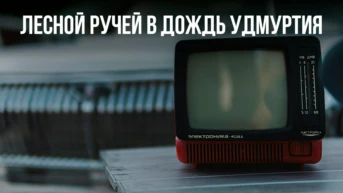 Лесной ручей в дождь Удмуртия
