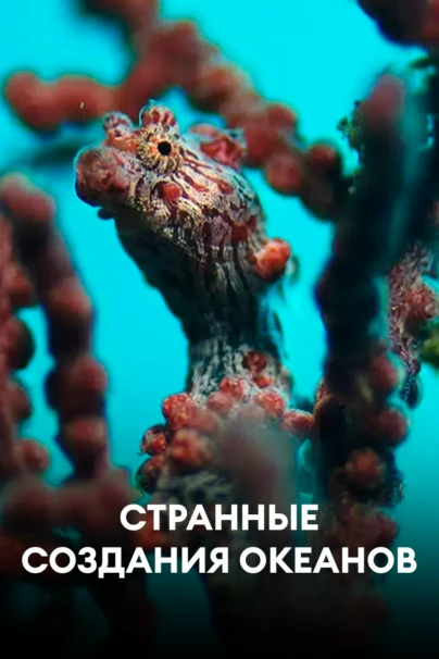 Странные создания океанов