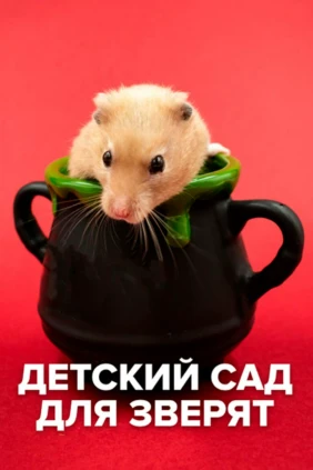 Детский сад для зверят