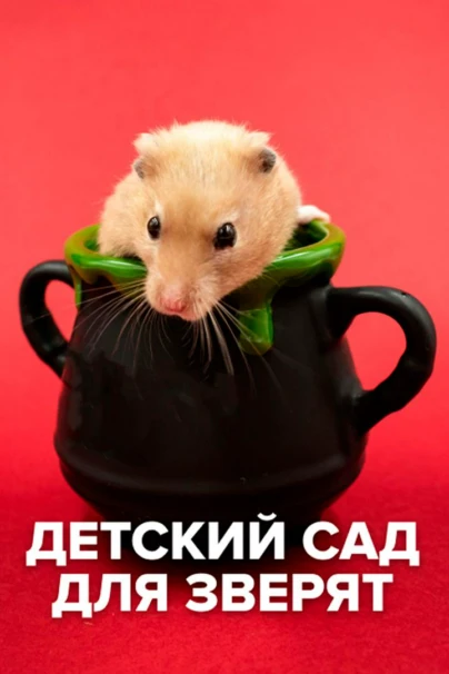 Детский сад для зверят