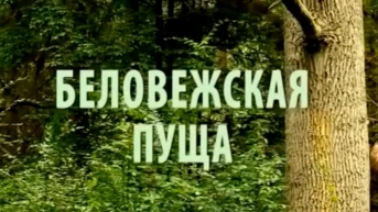 Беловежская пуща