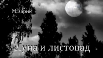 Луна и листопад