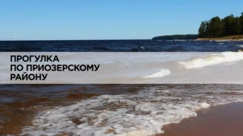 Прогулка по Приозерскому району
