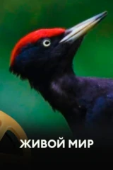 Живой мир