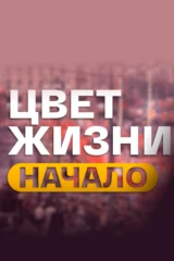 Цвет жизни. Начало