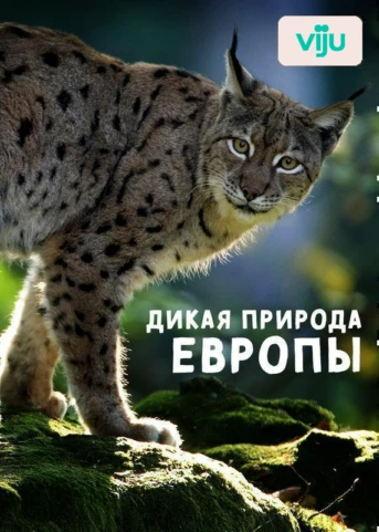 1 серия