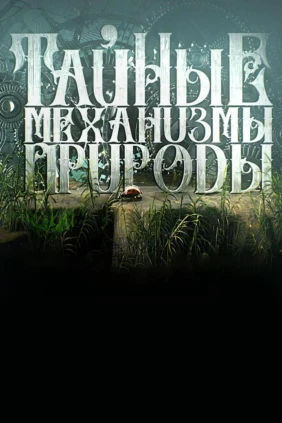 Тайные механизмы природы