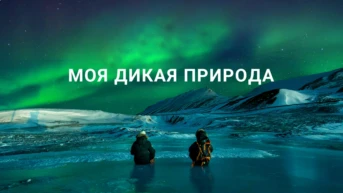 Моя дикая природа