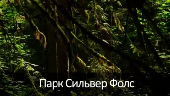 Парк Сильвер Фолс