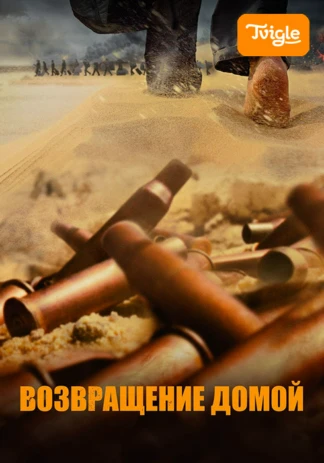 Возвращение домой
