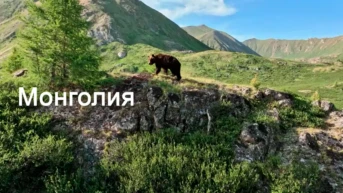 Монголия