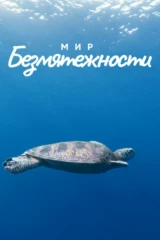 Мир безмятежности